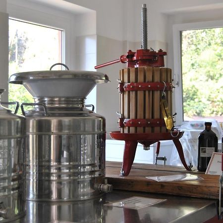 Ca' Dei Fazzilisti Bed & Breakfast Mori Eksteriør bilde